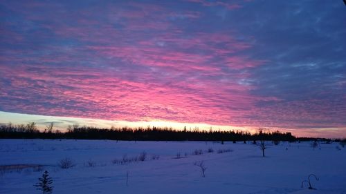 Snow covered field at sunset