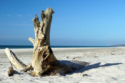 Driftwood on wooden post on beach against sky