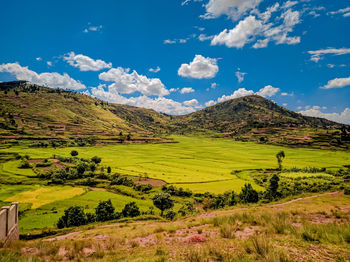 Scenic view of field against sky