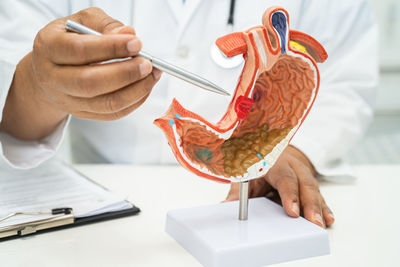 Cropped hand of doctor holding dentures