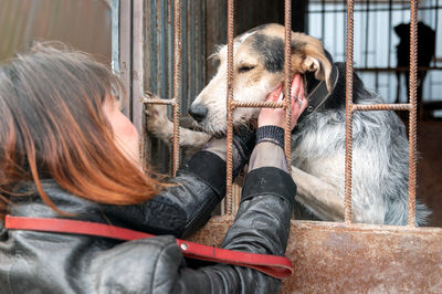 Dog at the shelter. animal shelter volunteer takes care of dogs. lonely dogs in cage