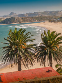 Palm trees on beach against sky