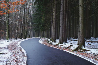 Curving road through a forest on a winter day