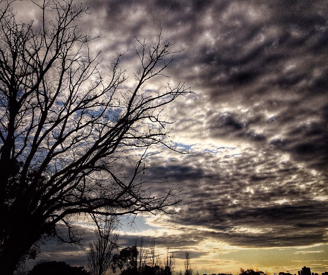 sky, cloud - sky, cloudy, silhouette, bare tree, low angle view, tranquility, tree, overcast, weather, nature, cloud, tranquil scene, beauty in nature, scenics, branch, storm cloud, dusk, dramatic sky, cloudscape