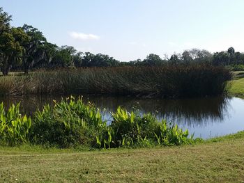 Scenic view of lake against sky