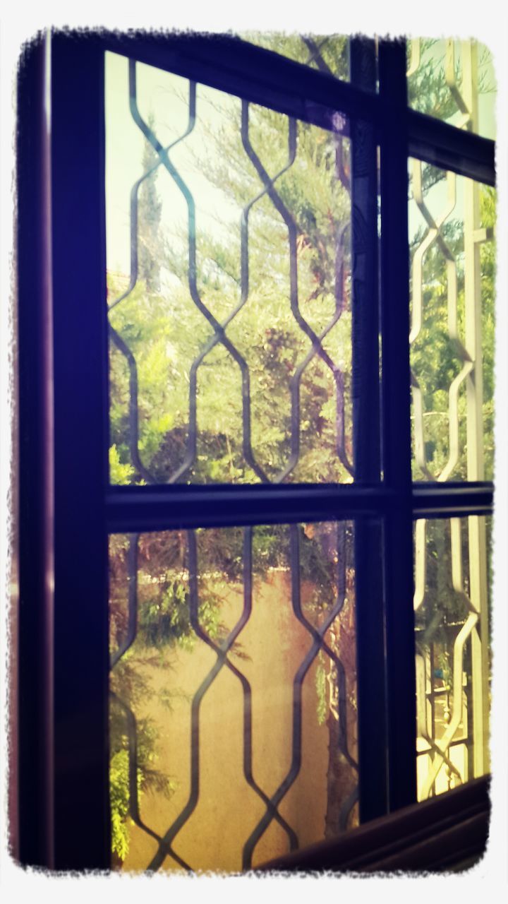 window, tree, built structure, architecture, indoors, closed, transfer print, house, glass - material, growth, building exterior, green color, fence, door, protection, day, safety, auto post production filter, transparent, metal