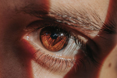 Cropped image of human eye