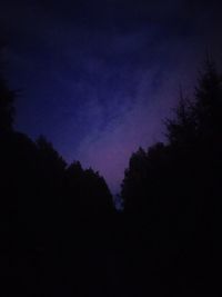 Low angle view of silhouette trees against sky at night