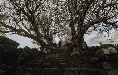 Rear view of man standing by staircase