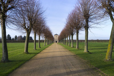 Dirt road amidst bare trees against sky