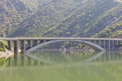 Bridge over river against trees