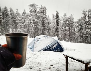 Close-up of hand holding coffee cup by tent on snow covered field during winter