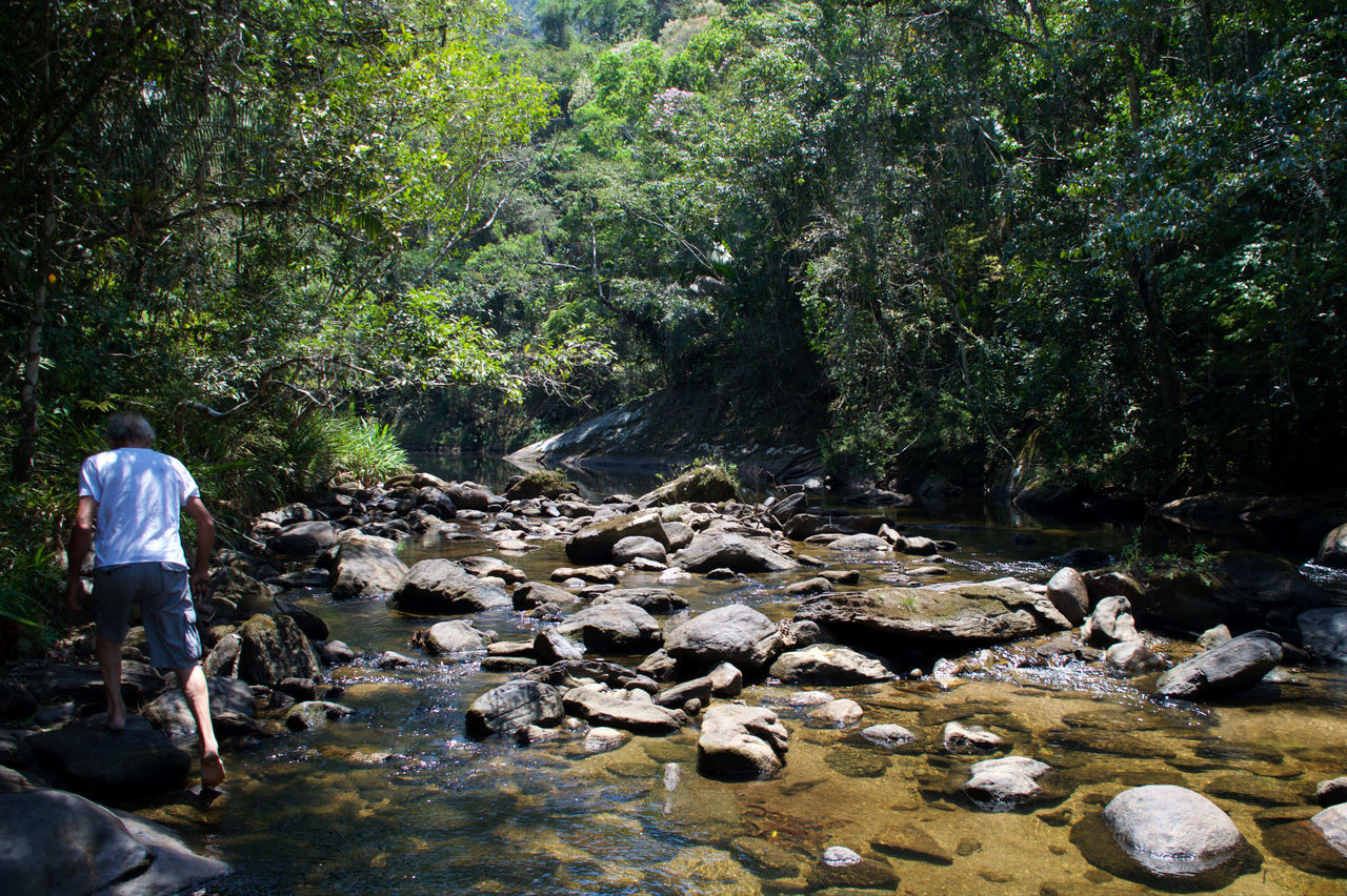 REAR VIEW OF WOMAN STANDING BY ROCKS IN RIVER