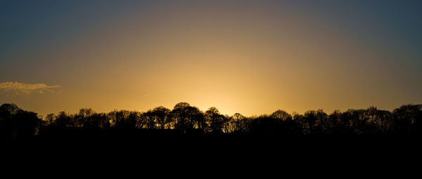 Silhouette trees against sky during sunset