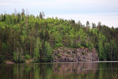 Reflection of trees in calm lake