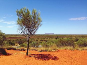 Scenic view of field against cloudy sky