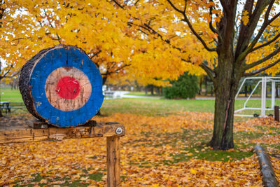 Bench in park during autumn