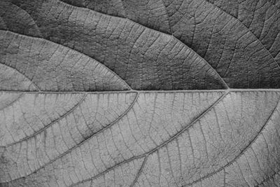Full frame shot of textured surface