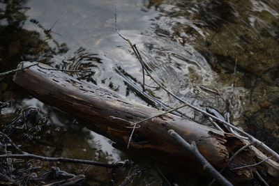 High angle view of a lake