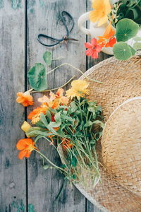 Close-up of orange flower pot on wood