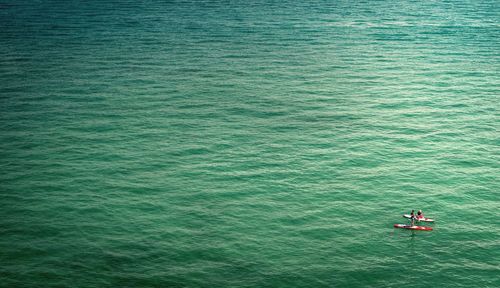 High angle view of people paddle boarding in sea