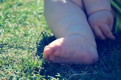 Low section of baby lying on grass