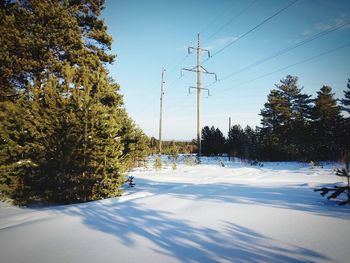 Trees on snow covered field against sky