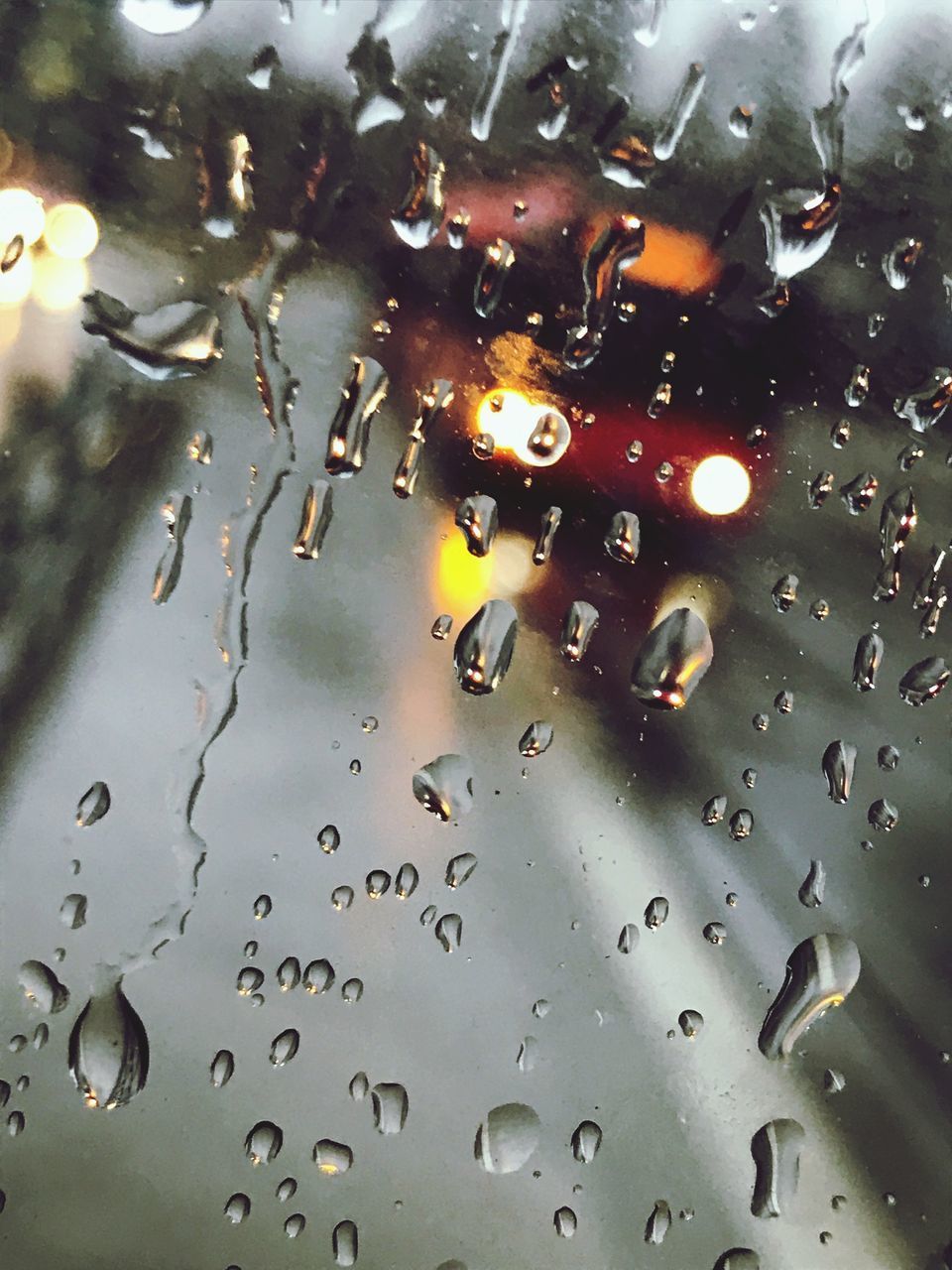 CLOSE-UP OF WATER DROPS ON ILLUMINATED LIGHTS