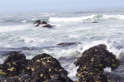 Scenic view of rocks in sea against sky