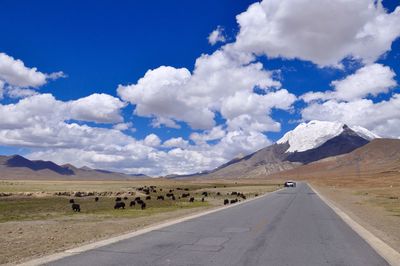 Country road leading towards mountains