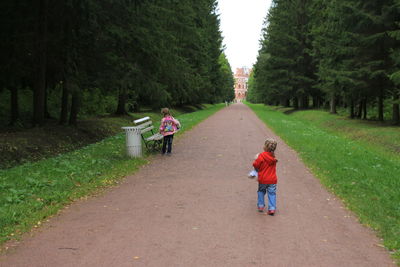 Rear view of people on road amidst trees