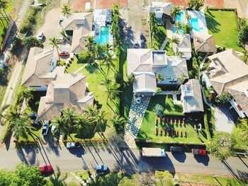 High angle view of trees and buildings in town