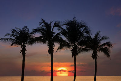 Silhouette palm trees against sky at sunset