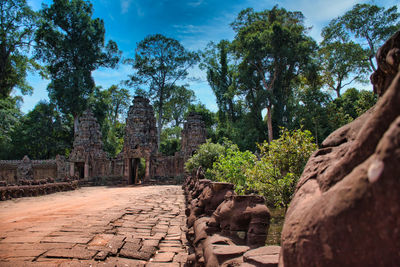 View of old ruin trees against sky