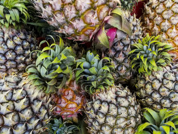 Close-up of fruits for sale in market