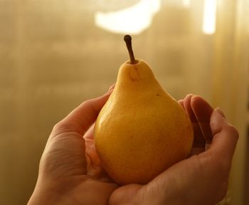 Close-up of woman holding pear