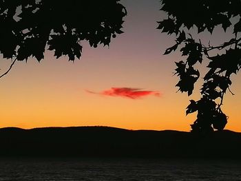 Silhouette trees at sunset