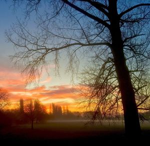 Silhouette bare trees on landscape against sky during sunset