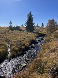 nature
