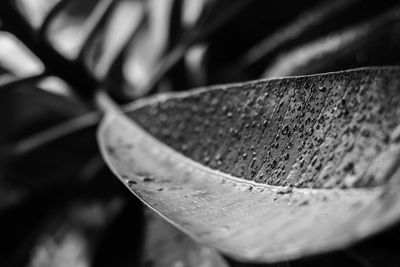 Close up of metal