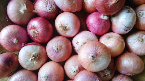 Full frame shot of pumpkins for sale