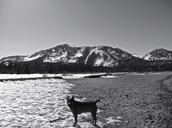 Scenic view of snow covered mountains