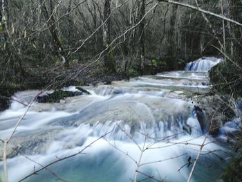 Scenic view of waterfall in forest