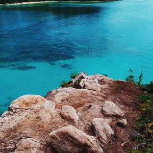 High angle view of rocks on beach