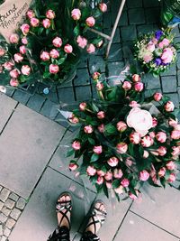 Low section of person standing by pink flowering plants