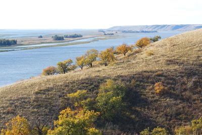 Scenic view of don river by oak trees against sky