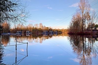 Reflection of trees in lake against sky