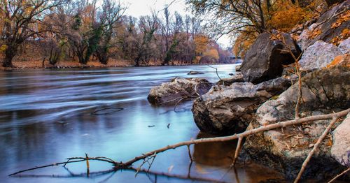 Stream flowing through rocks in forest