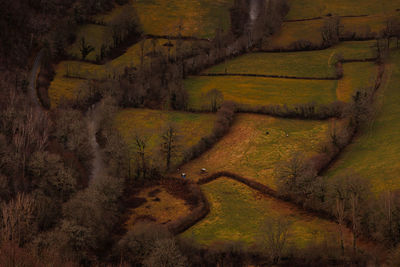 High angle view of colorful fields 