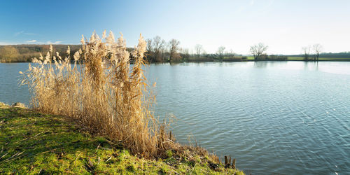 Scenic view of lake against sky